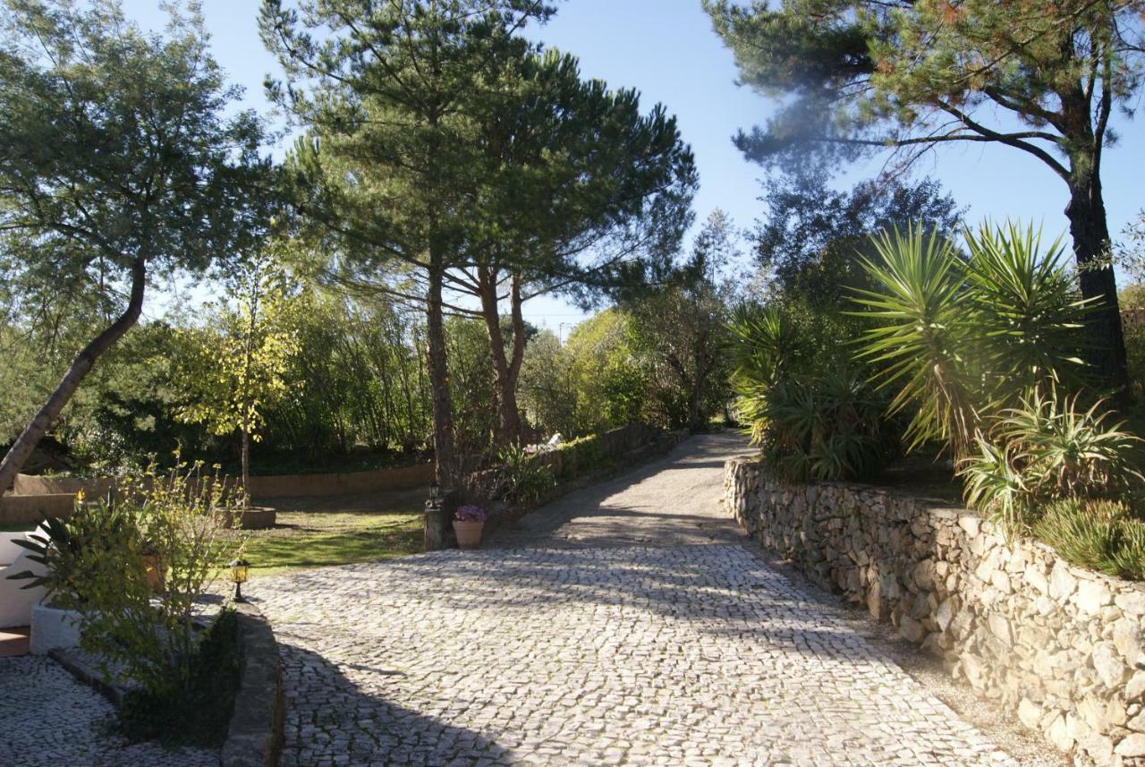 Casa Do Vale Villa Sao Pedro de Tomar Bagian luar foto