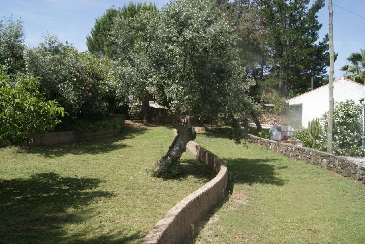 Casa Do Vale Villa Sao Pedro de Tomar Bagian luar foto